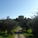 Elaionas