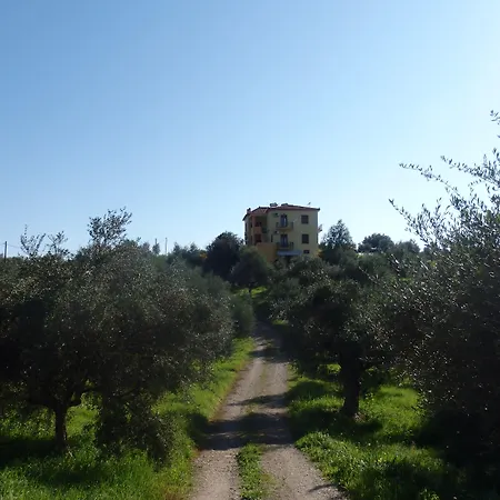 Elaionas