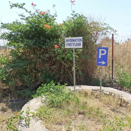 Elaionas גיתיו