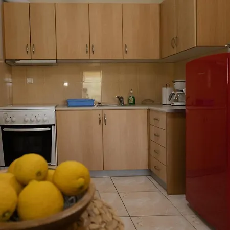 Apartment Elaionas *