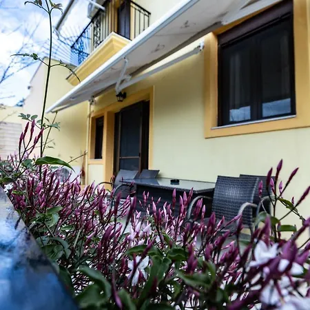 Elaionas Διαμέρισμα *