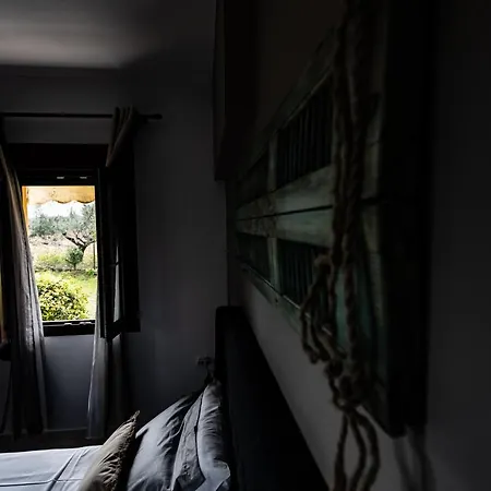 Elaionas * Szeliníca