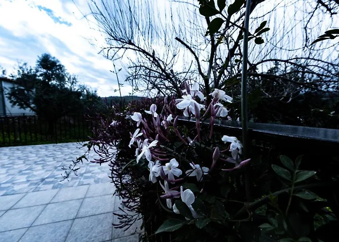 Elaionas Apartamento