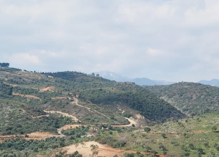 Elaionas * Selinitsa