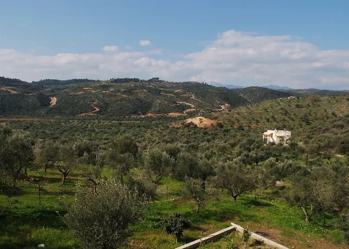 Elaionas * Selinitsa